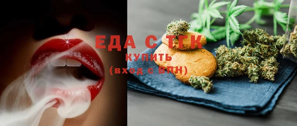 ПСИЛОЦИБИНОВЫЕ ГРИБЫ Горняк