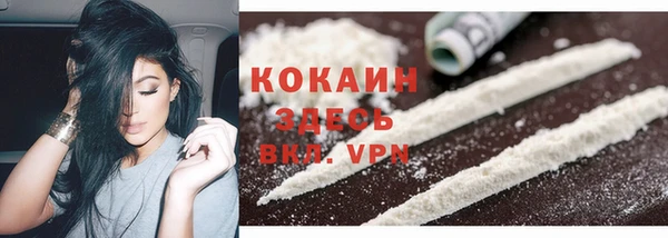 ПСИЛОЦИБИНОВЫЕ ГРИБЫ Горняк