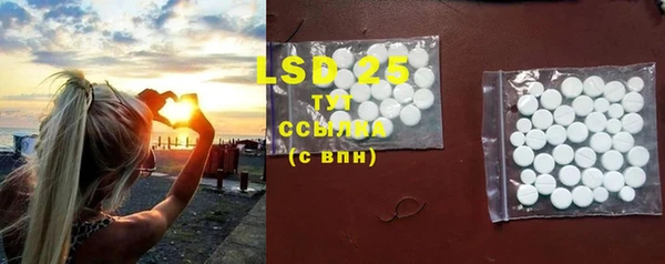 ПСИЛОЦИБИНОВЫЕ ГРИБЫ Горняк