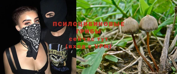 ПСИЛОЦИБИНОВЫЕ ГРИБЫ Горняк