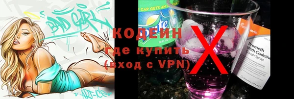 ПСИЛОЦИБИНОВЫЕ ГРИБЫ Горняк