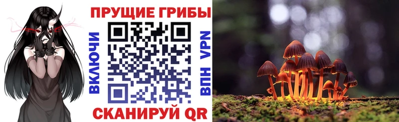KRAKEN рабочий сайт  где купить   Печора  Псилоцибиновые грибы Psilocybe 